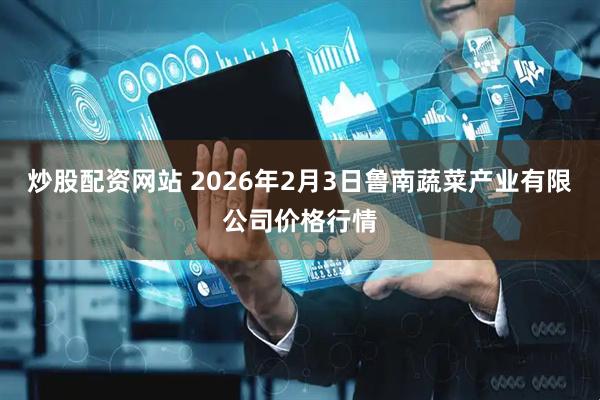 炒股配资网站 2026年2月3日鲁南蔬菜产业有限公司价格行情