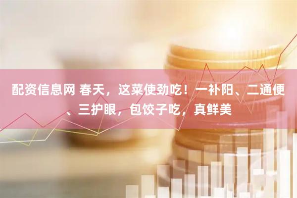 配资信息网 春天，这菜使劲吃！一补阳、二通便、三护眼，包饺子吃，真鲜美