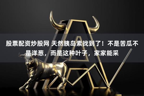 股票配资炒股网 天然胰岛素找到了！不是苦瓜不是洋葱，而是这种叶子，家家能采