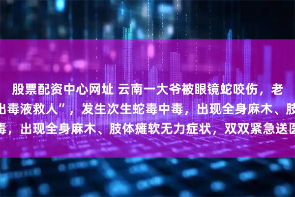 股票配资中心网址 云南一大爷被眼镜蛇咬伤，老伴效仿影视剧“用嘴吸出毒液救人”，发生次生蛇毒中毒，出现全身麻木、肢体瘫软无力症状，双双紧急送医抢救